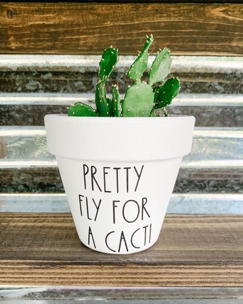 Pretty Fly for a Cacti Painted Plant Pot