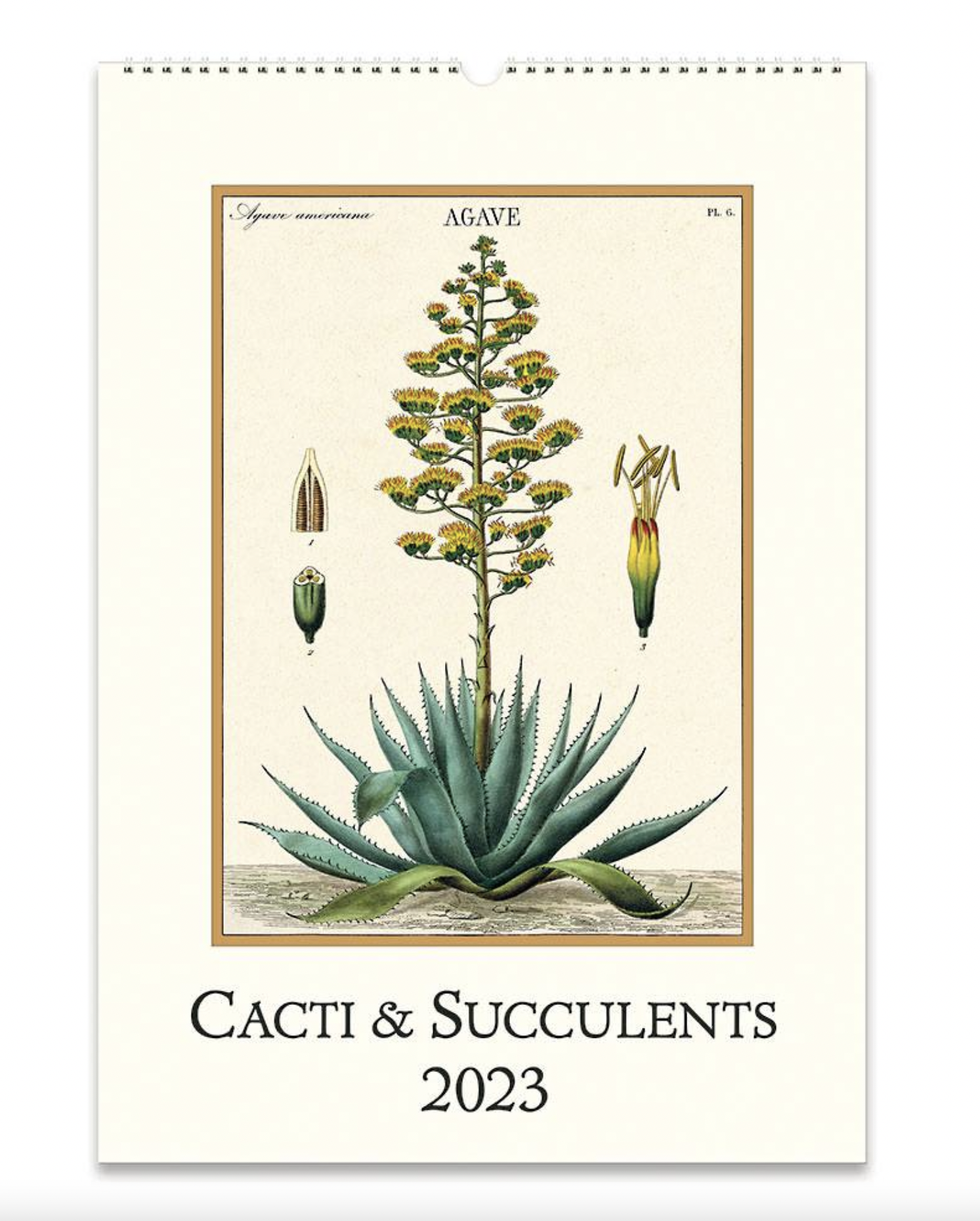 Cacti + Succulents 2023 Wall Calendar