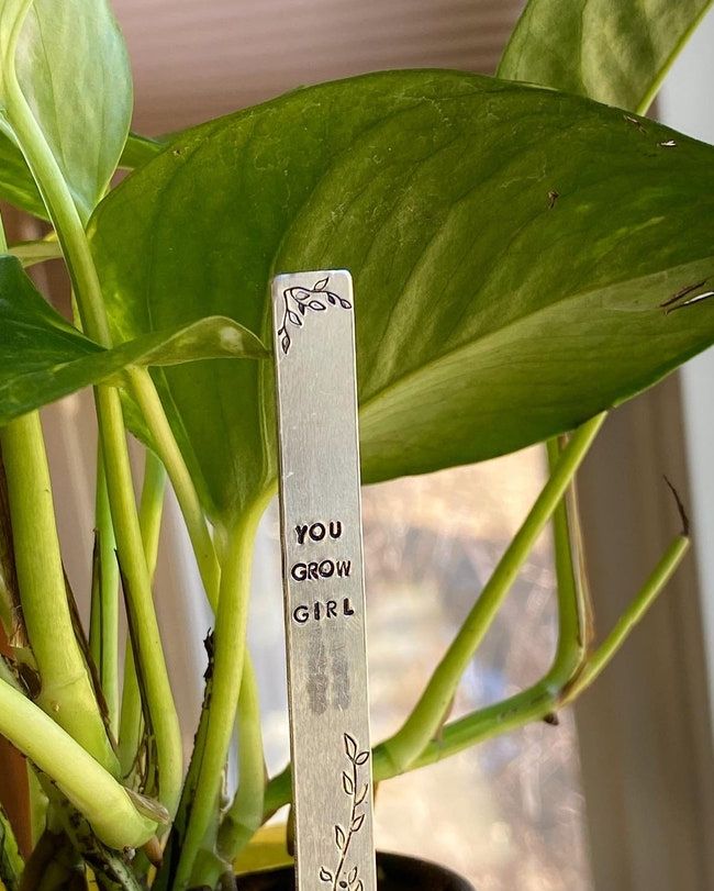 7 Cool Gift Ideas For Plant Moms