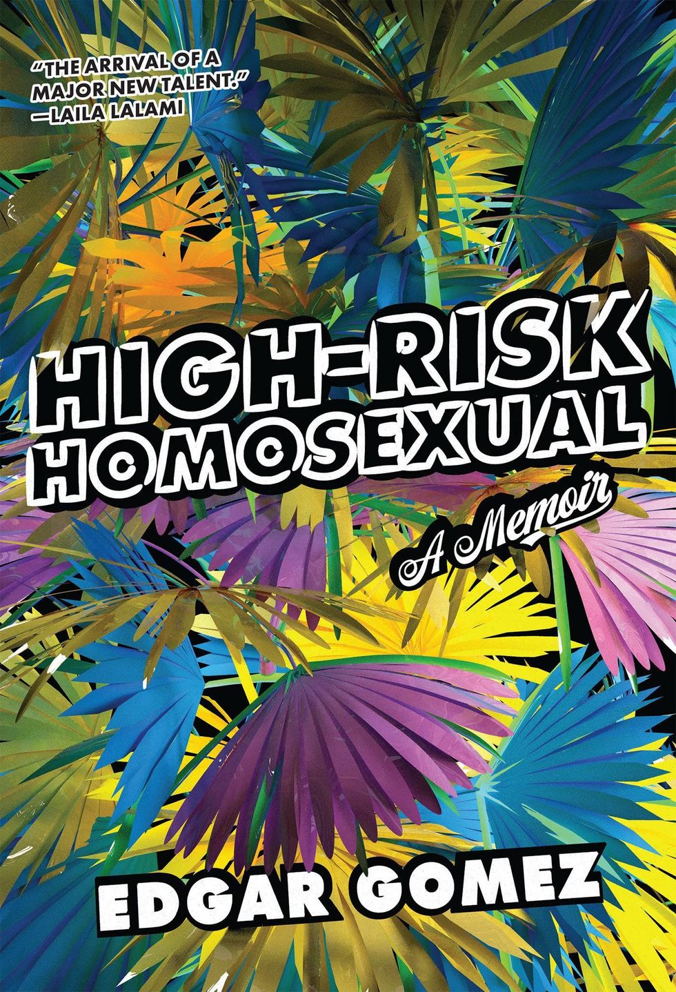 <i>High-Risk Homosexual</i>, by Edgar Gomez