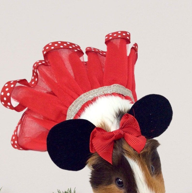 Mini Mouse Guinea Pig Costume