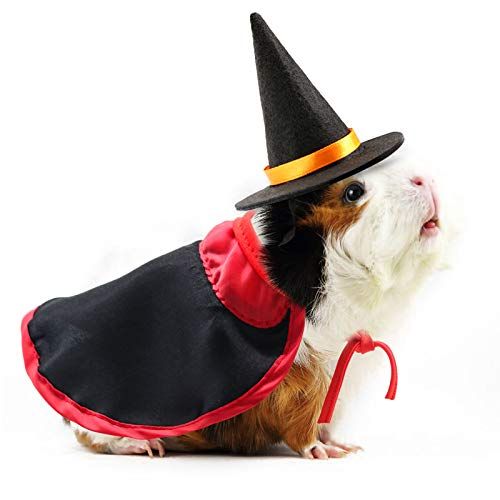 Witch Guinea Pig Costume