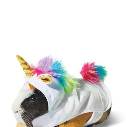 Unicorn Guinea Pig Costume 