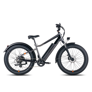 Rad Power Bikes RadRover 6 Plus Electric Fat Tire Bike Rad Power Bikes RadRover 6 Plus Electric Fat Tire Bike