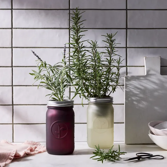 Modern Sprout Garden Jar Herb Kit