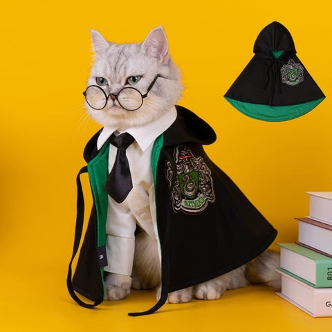 48 disfraces para gatos bonitos y originales para Carnaval 48 disfraces para gatos bonitos y originales para Carnaval