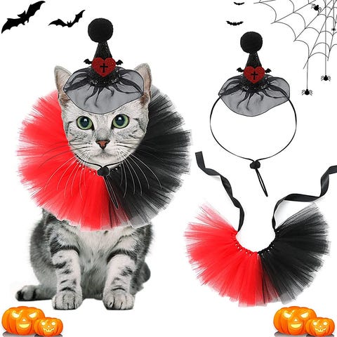 48 disfraces para gatos bonitos y originales para Carnaval 48 disfraces para gatos bonitos y originales para Carnaval