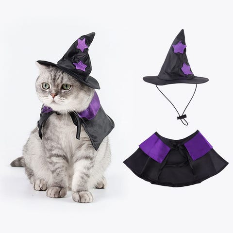 48 disfraces para gatos bonitos y originales para Carnaval 48 disfraces para gatos bonitos y originales para Carnaval