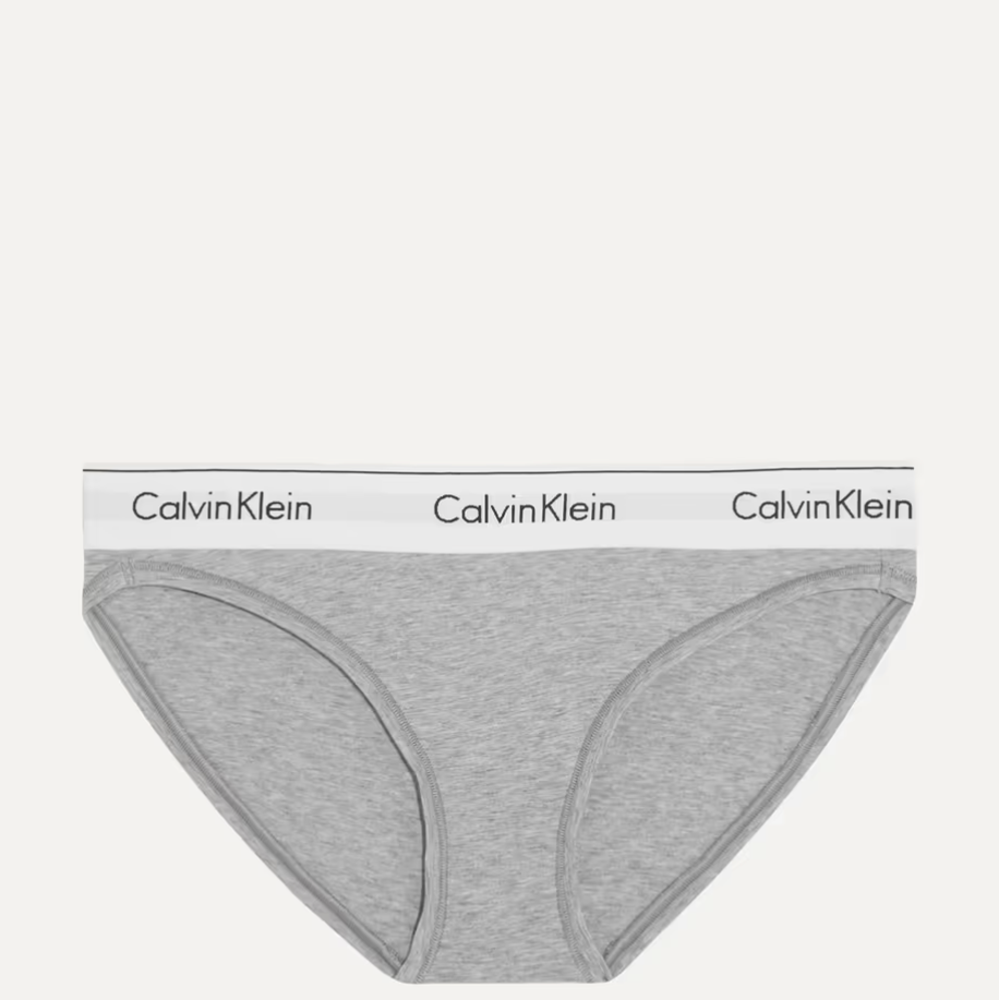 Calvin Klein Women's Invisibles Modern Brief Panty, BARE, X-Small