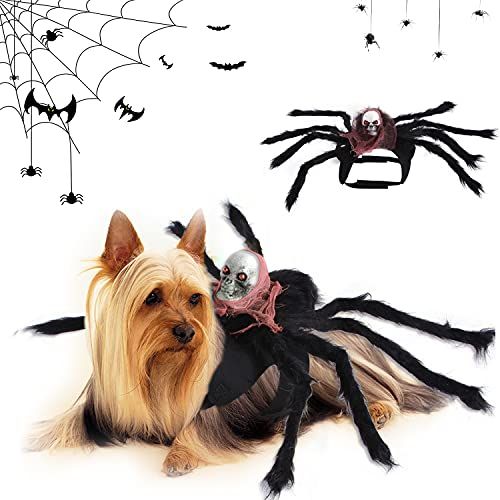 asustado niebla tóxica Interprete Los 55 disfraces para perros más originales para Halloween