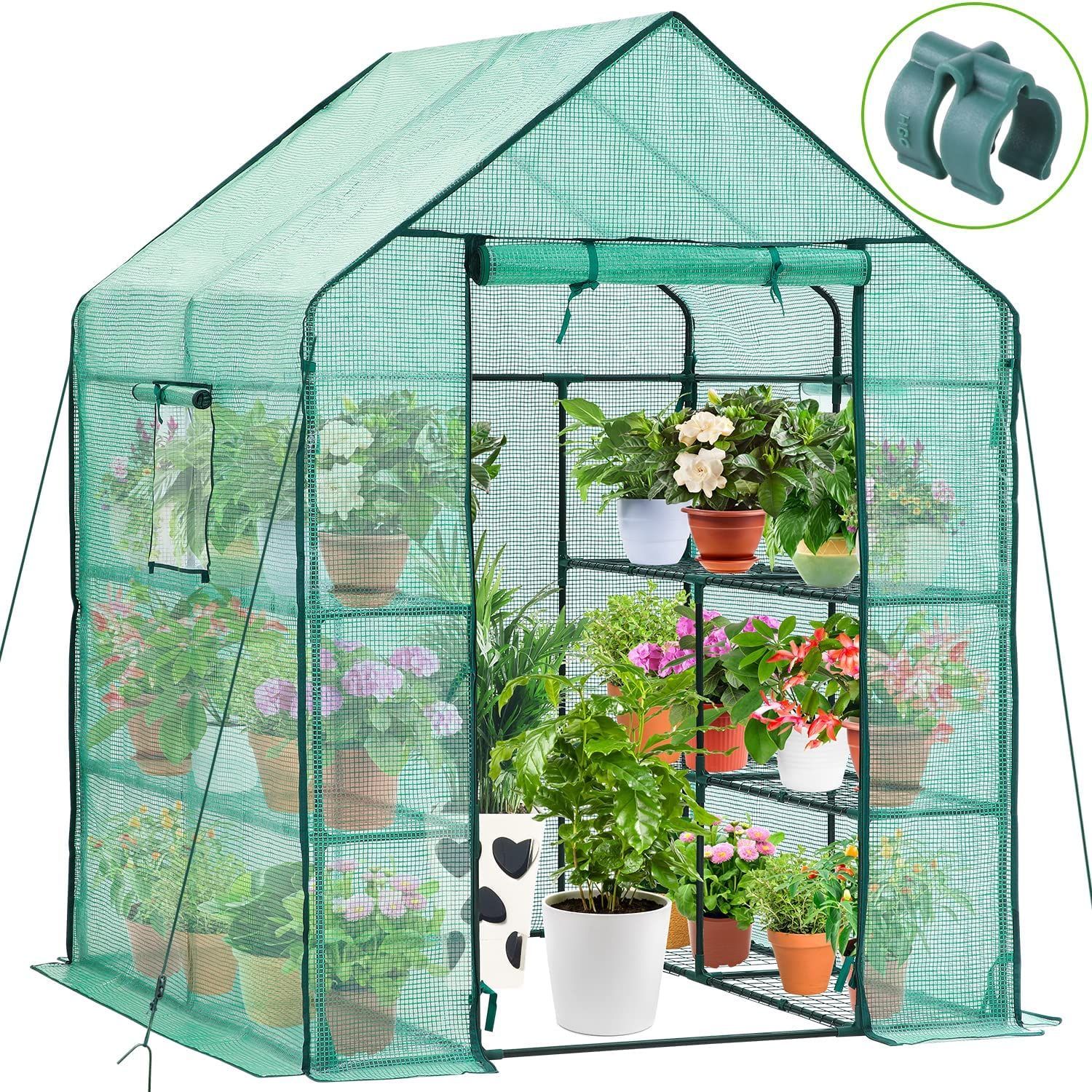 Greenhouse with Windows