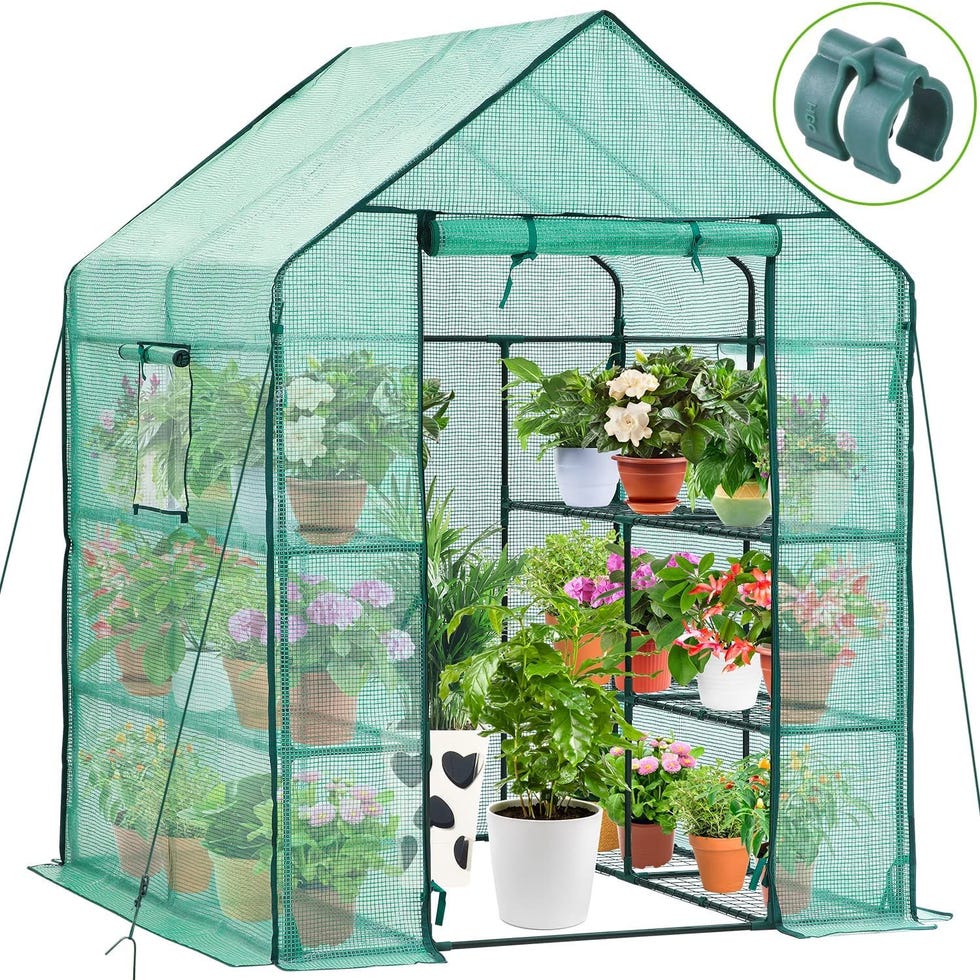 Amazon Is Selling a Walk-In Greenhouse for $75