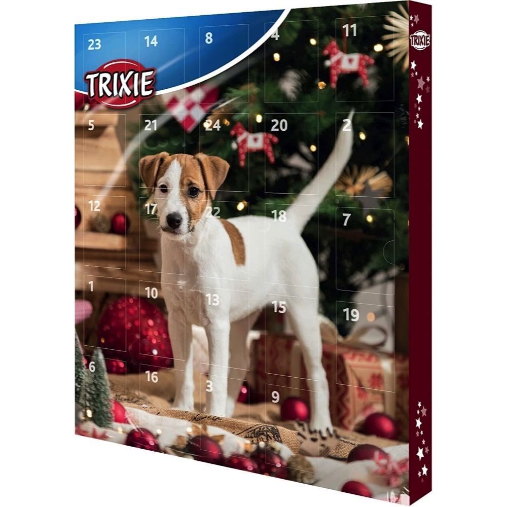 fish 4 dogs advent calendar