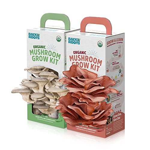 Organic mushroom growing kit