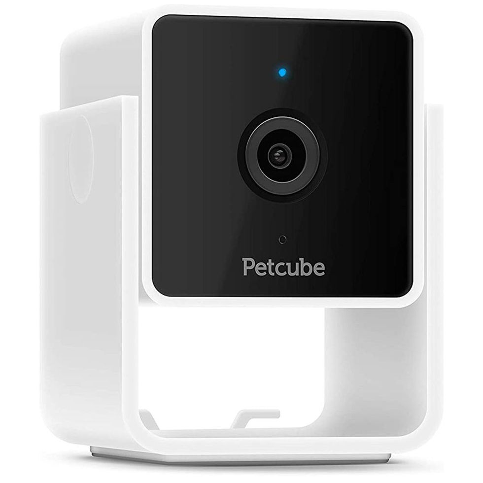 Cam Pet Monitoring Camera with Built-in Vet Chat