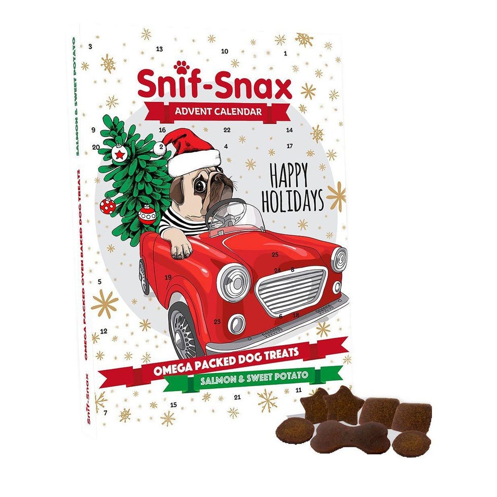 10 Best Dog Advent Calendars to Buy in 2022