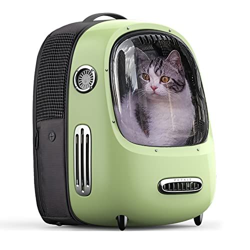 Cat 2025 pod backpack