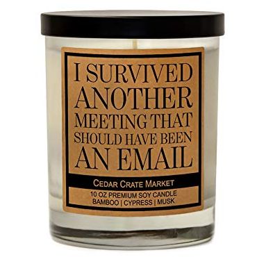 "I Survived Another Meeting That Should Have Been An Email" Candle
