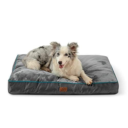 Bed bath and hotsell beyond large dog beds