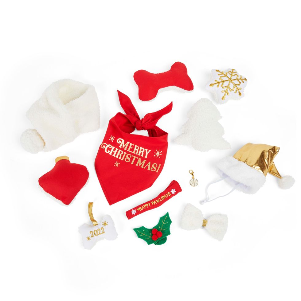 More and Merrier Premium Advent Calendar Dog Toy, Small