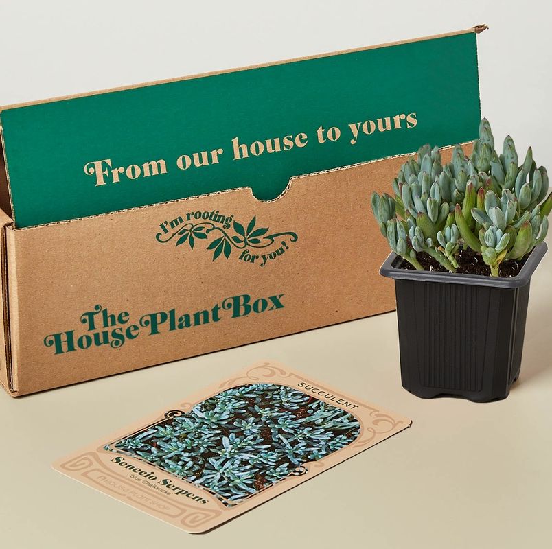 5 of the best online subscription box clubs for gardening and