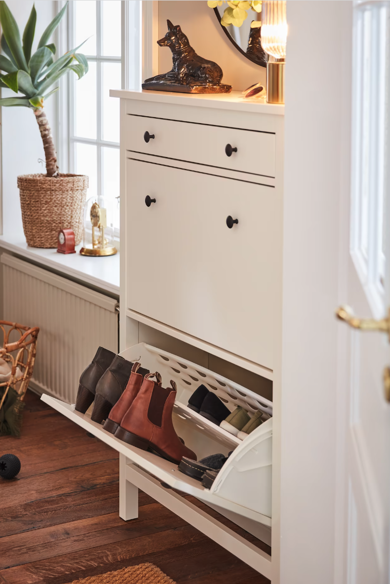 Pull-Down Shoe Cabinet 