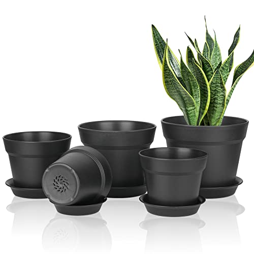 Macetas pequeñas para plantas: macetas decorativas de cemento de 10 cm,  macetas mini suculentas con drenaje, macetas de jardín para cactus, maceta  dorada, Macetas Para Plantas Interior Elegantes : : Jardín