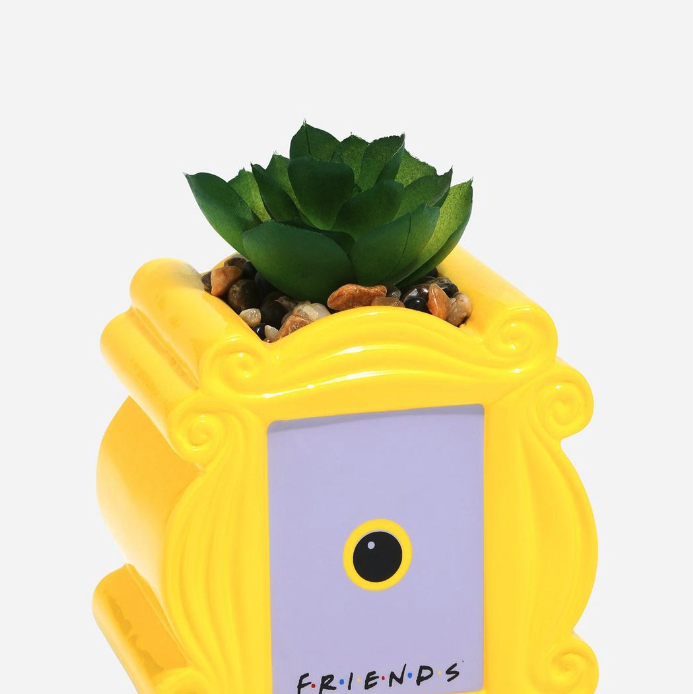 'Friends' Peephole Frame Faux Succulent Planter