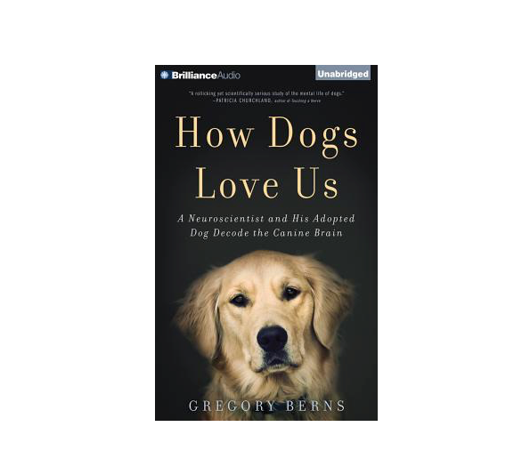 what to get someone who loves their dog