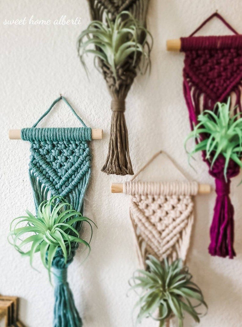 Air Plant Hangers 