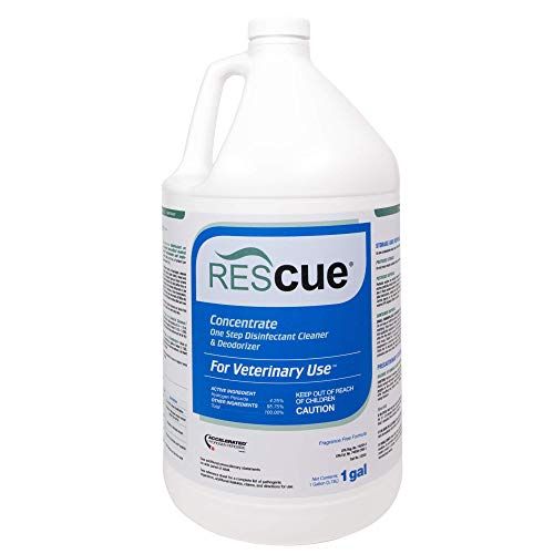 Disinfectant Concentrate Gallon