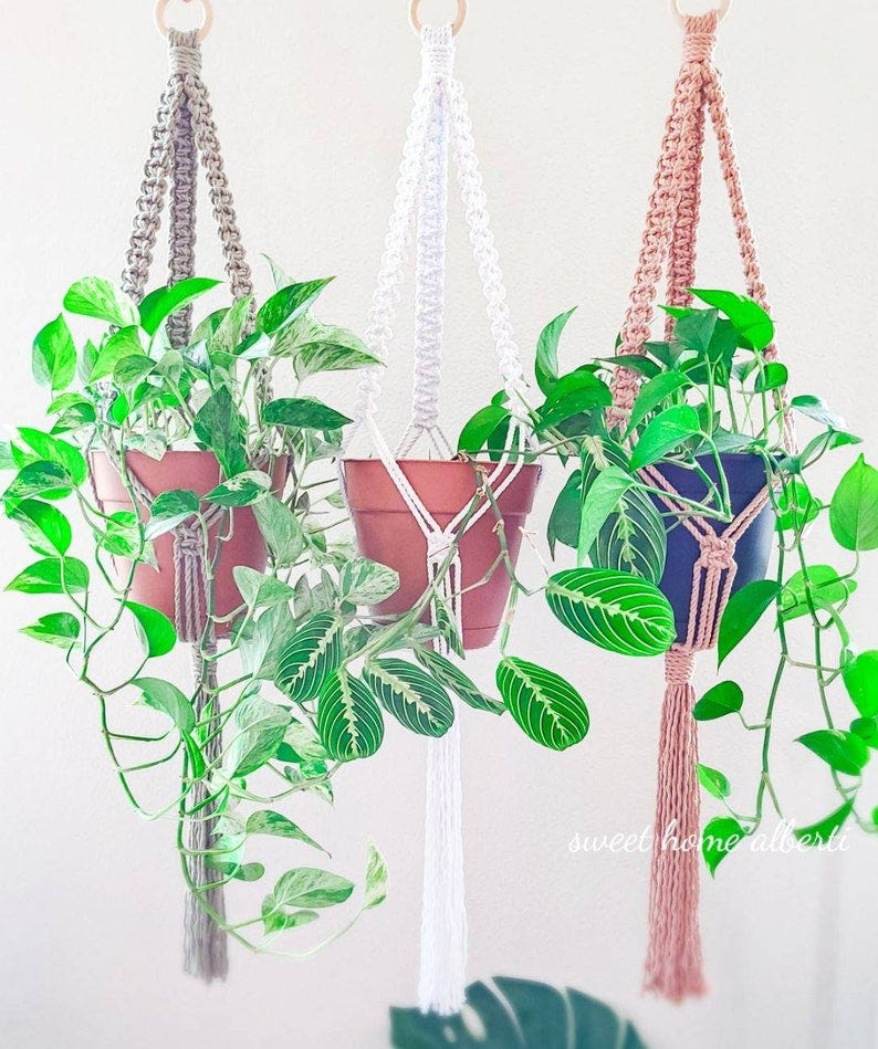 Spiral Plant Hanger 