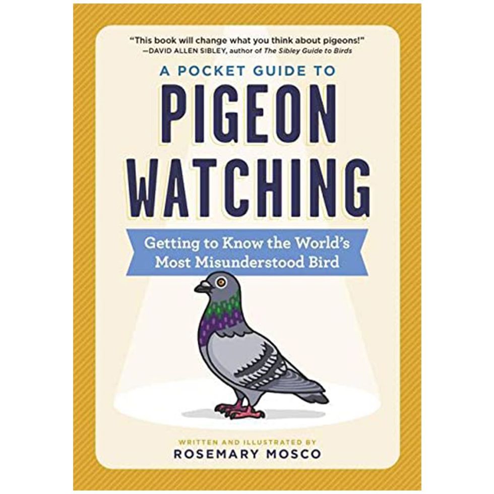 <i>A Pocket Guide to Pigeon Watching: Getting to Know the World's Most Misunderstood Bird</i> by Rosemary Mosco
