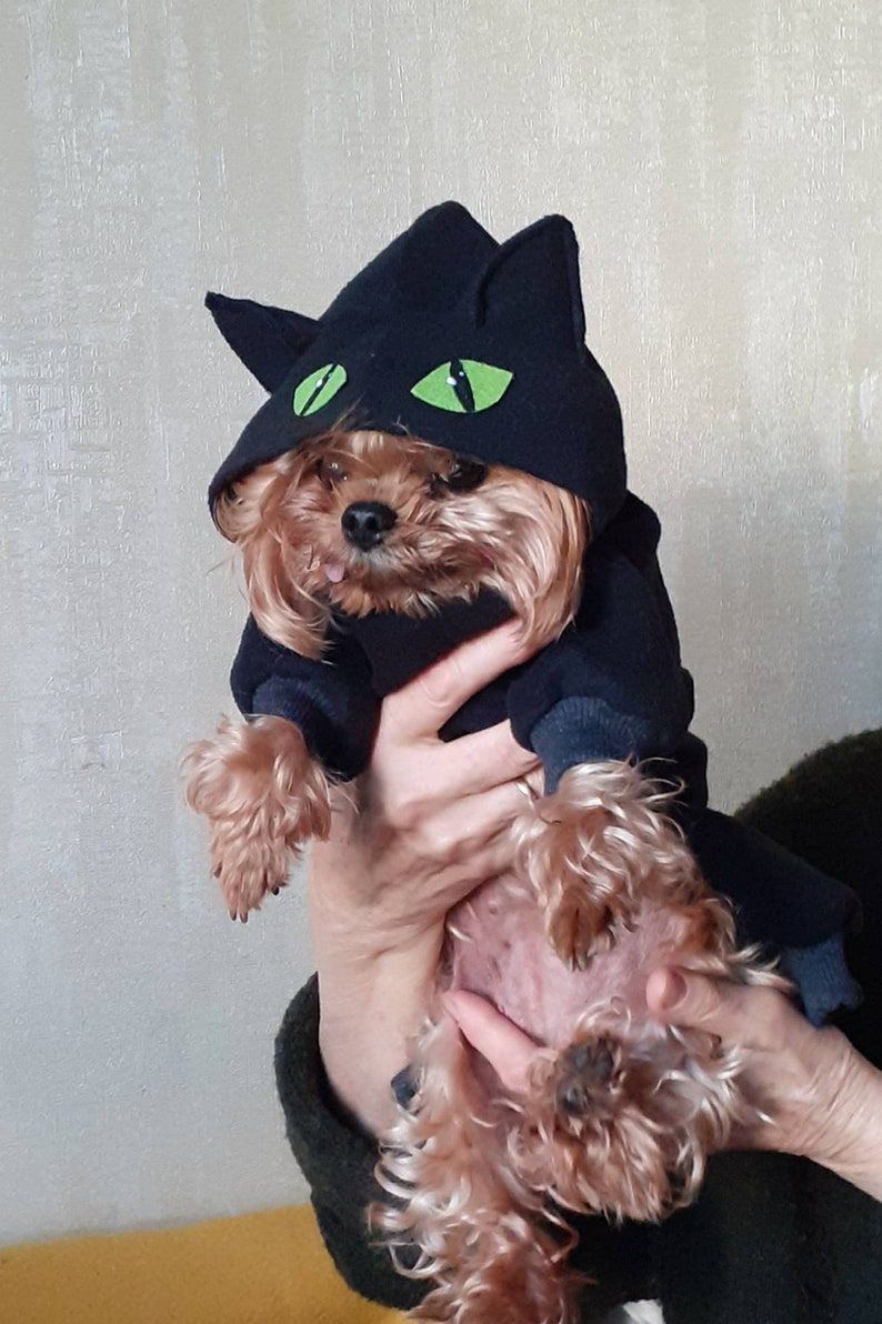 Black Cat Dog Costume