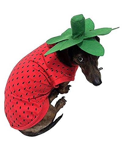 Strawberry Dog Costume