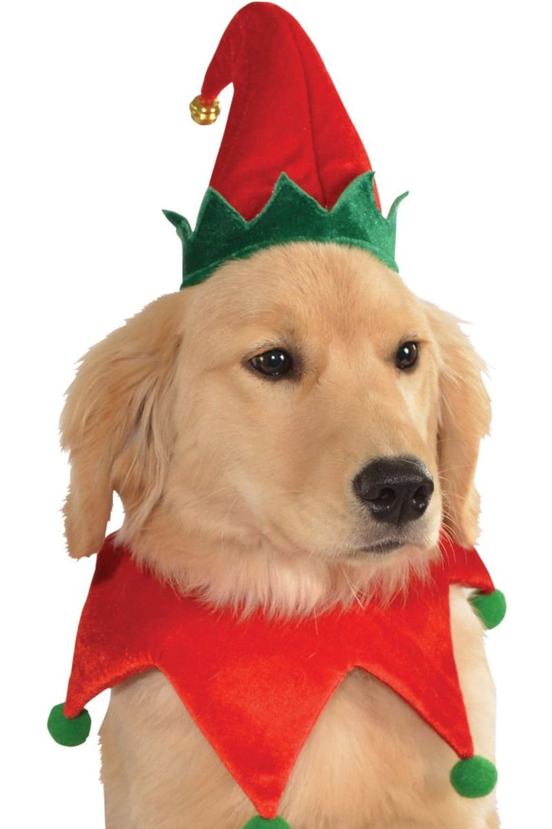 Elf Hat and Collar Dog Costume