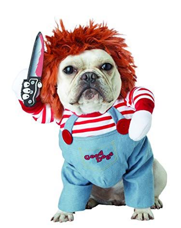25 Adorable Halloween Costumes for Dogs