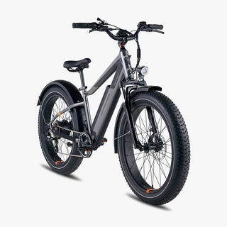 Rad Power RadRover 6 Plus electric bike