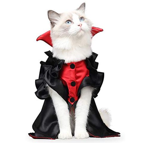 40 disfraces de gatos para Halloween originales y divertidos