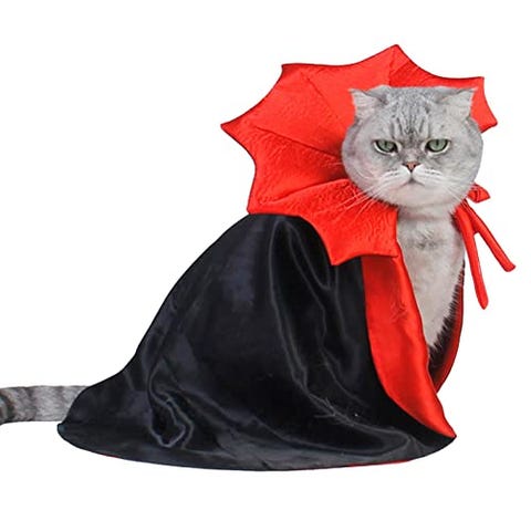 40 disfraces de gatos para Halloween originales y divertidos 40 disfraces de gatos para Halloween originales y divertidos