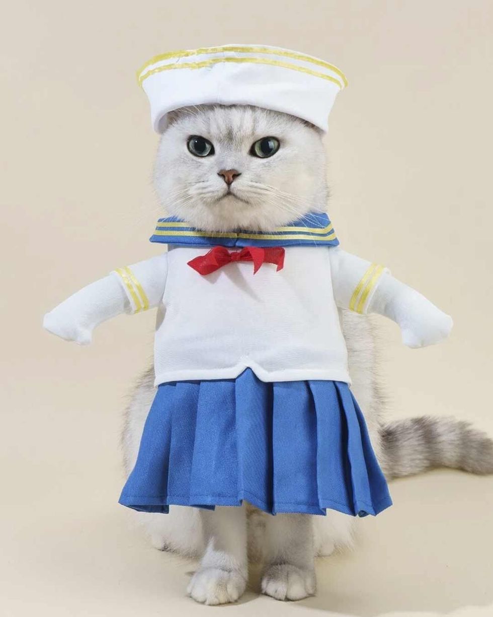 Disfraz de marinera