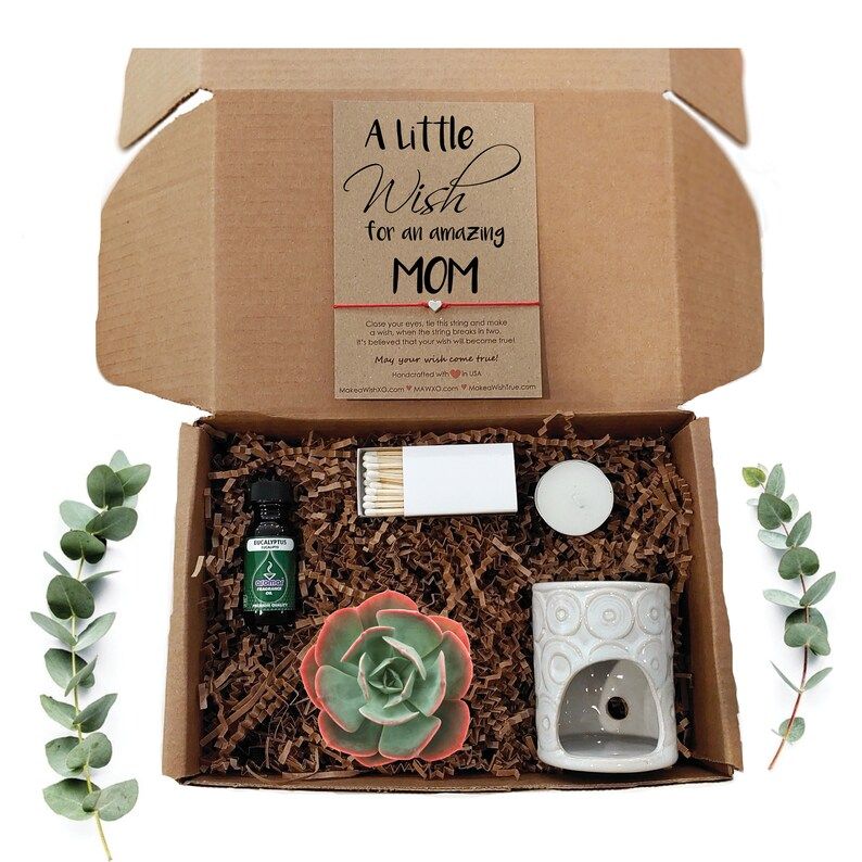Succulent Gift Box 