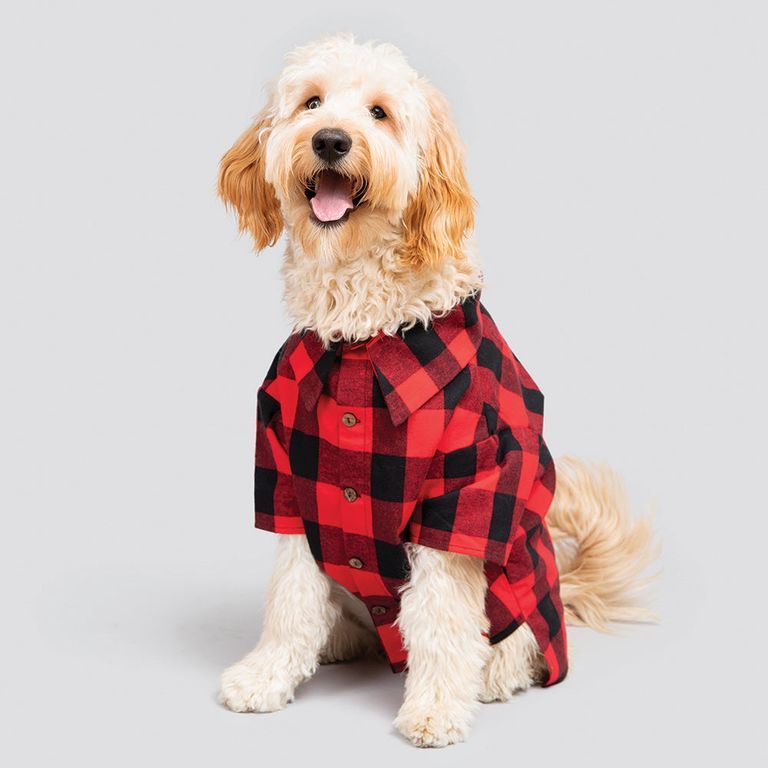 Buffalo plaid dog outlet dress