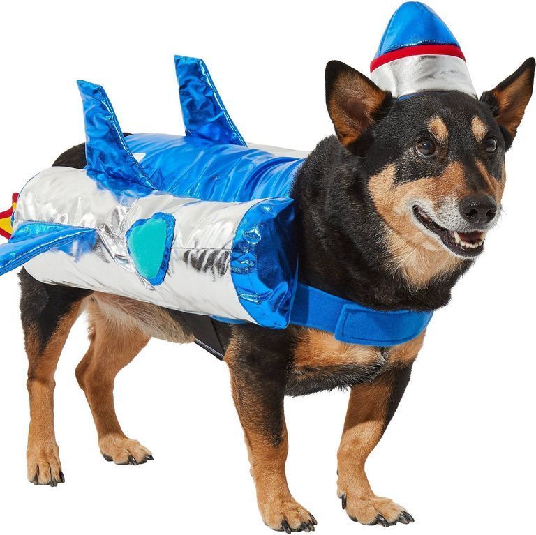 Rocket Ship Dog Costume