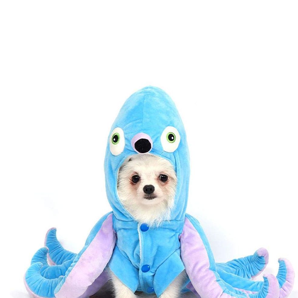 Octopus Dog Costume
