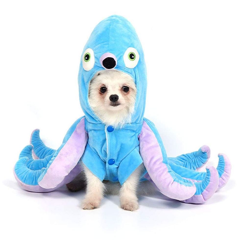 Octopus Dog Costume