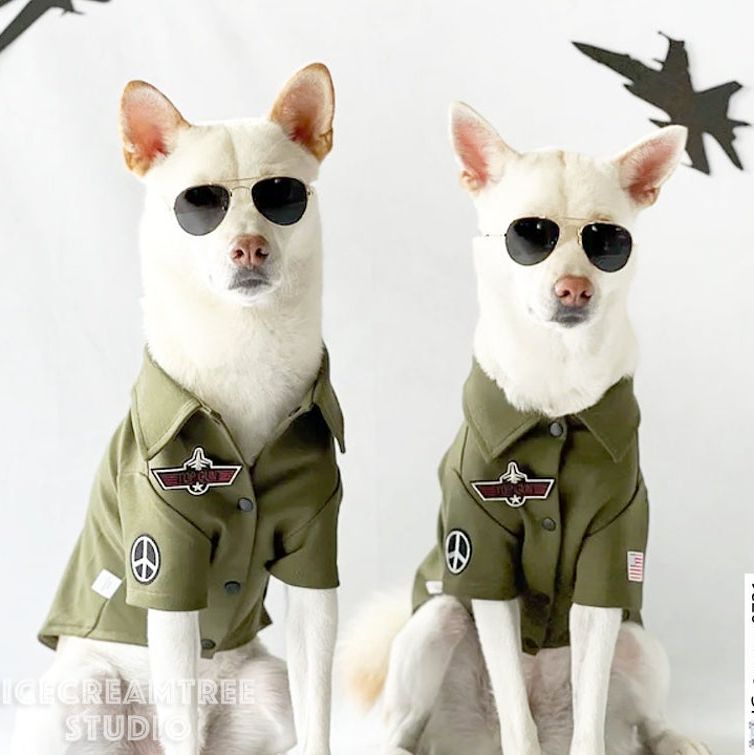 Top Gun Dog Costume