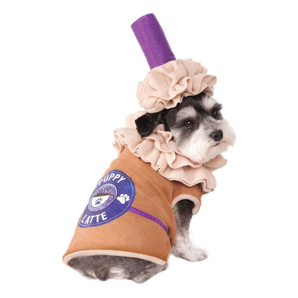 40 Best Dog Halloween Costumes  Dog Halloween Costume Ideas [2022]
