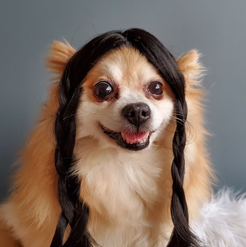 Braided Wig for Dogs