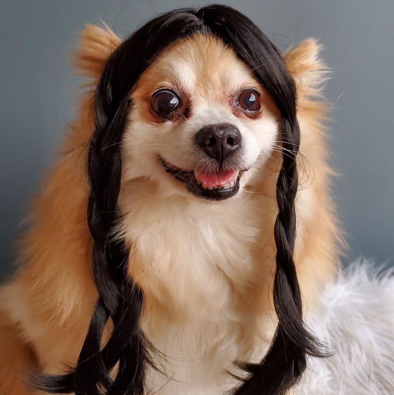 Braided Wig for Dogs